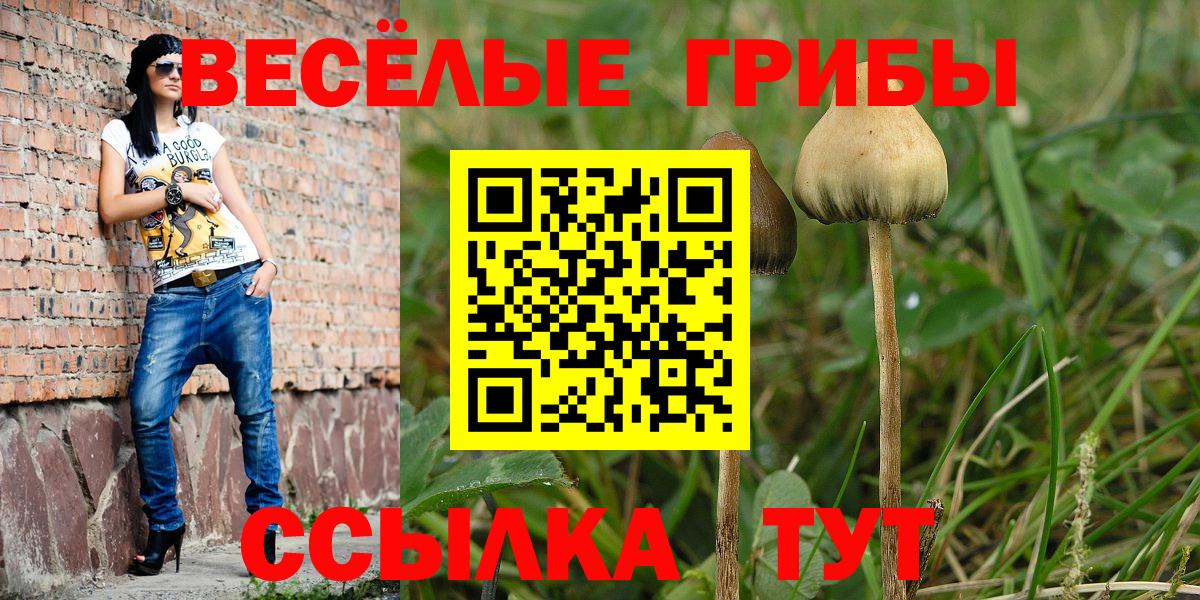 Псилоцибиновые грибы Cubensis  даркнет сайт  Бузулук  Вход с VPN 